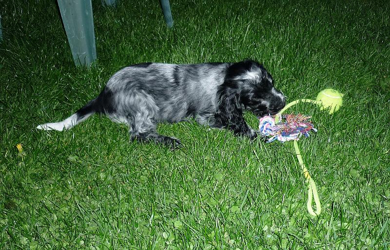 5-v novém domově 1.5.2010.jpg